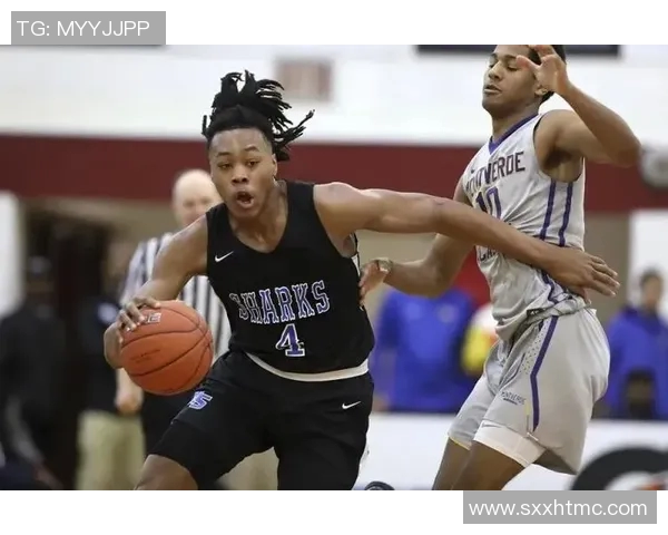 斯科蒂巴恩斯的崛起与未来展望：NBA新星的成长之路