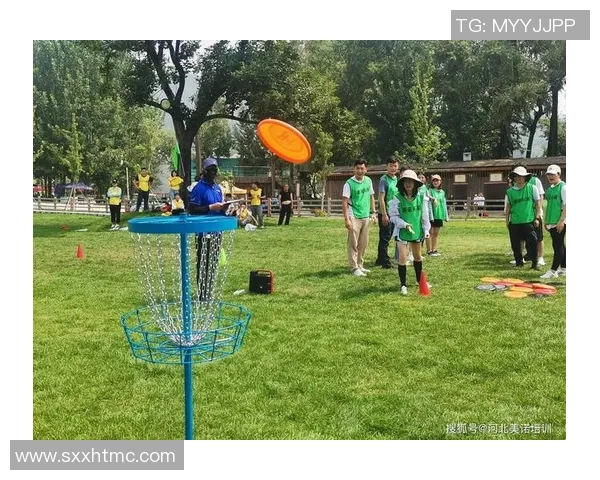 飞盘热潮下的北京飞盘队团队协作争议引发广泛讨论与思考MBA